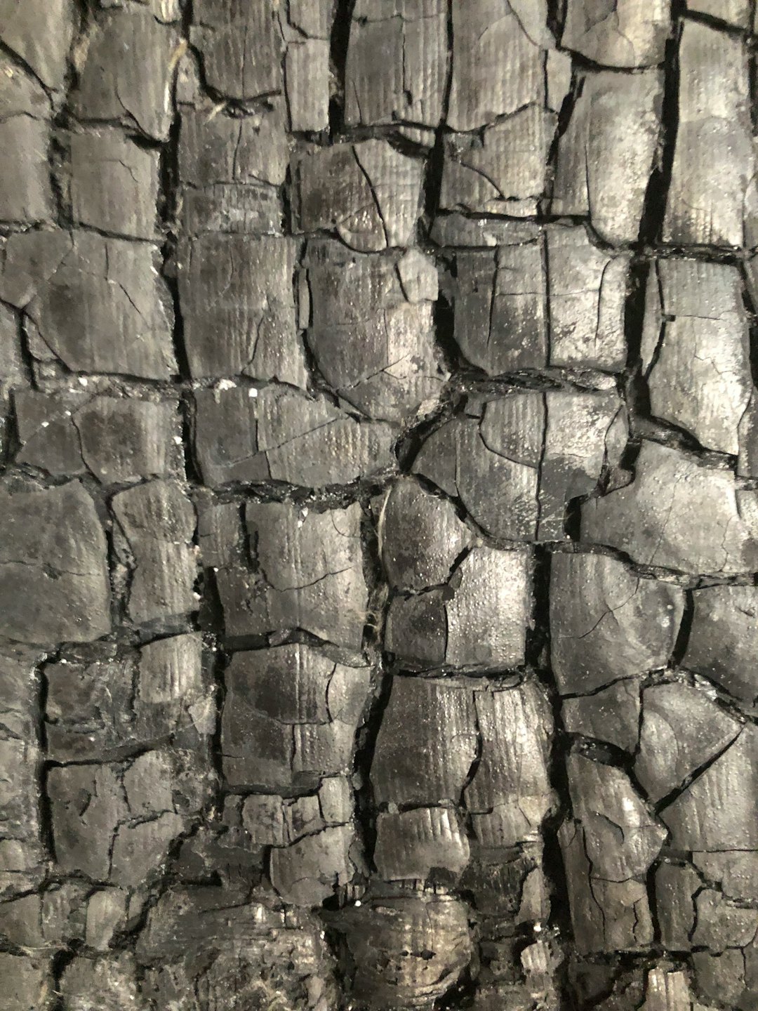 Oberfläche aus verkohltem Holz mit tiefen Rissen und rauer Textur.